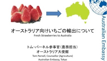 オーストラリア大使館 Australia In Japan S Tweet トム パーネル農務担当参事官が農林水産省主催の日本 産いちご輸出ウェビナーで オーストラリアの検疫と食品安全について日本の業界関係者に講演しました 美味しい日本産 いちご の輸出を希望されている方々にご