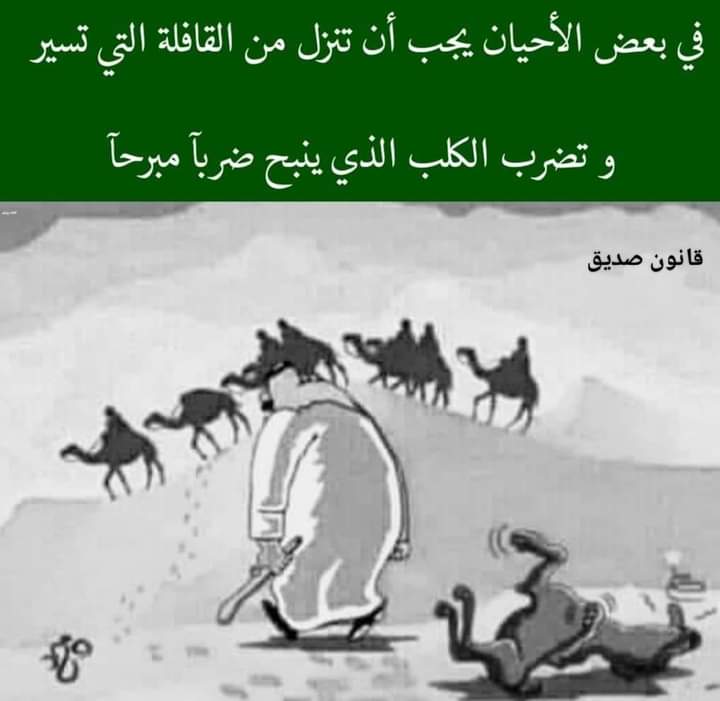 Elkabeeeee's tweet photo. انا نزلت ضربت الكلب والكلبة بتوع جروب نداء بشوية اسكرينات خاصة اوي +18
 ورجعو يعيطو 😪وطلبو الصلح 🐍🪳😅
وبعدها كملت سير القافلة 😎
#ماجستير_عاطل_يادوله
#دكتوراه_علم_مهدر
#العلما_اولي_بالتعيين https://t.co/Y8YRyxfHU1