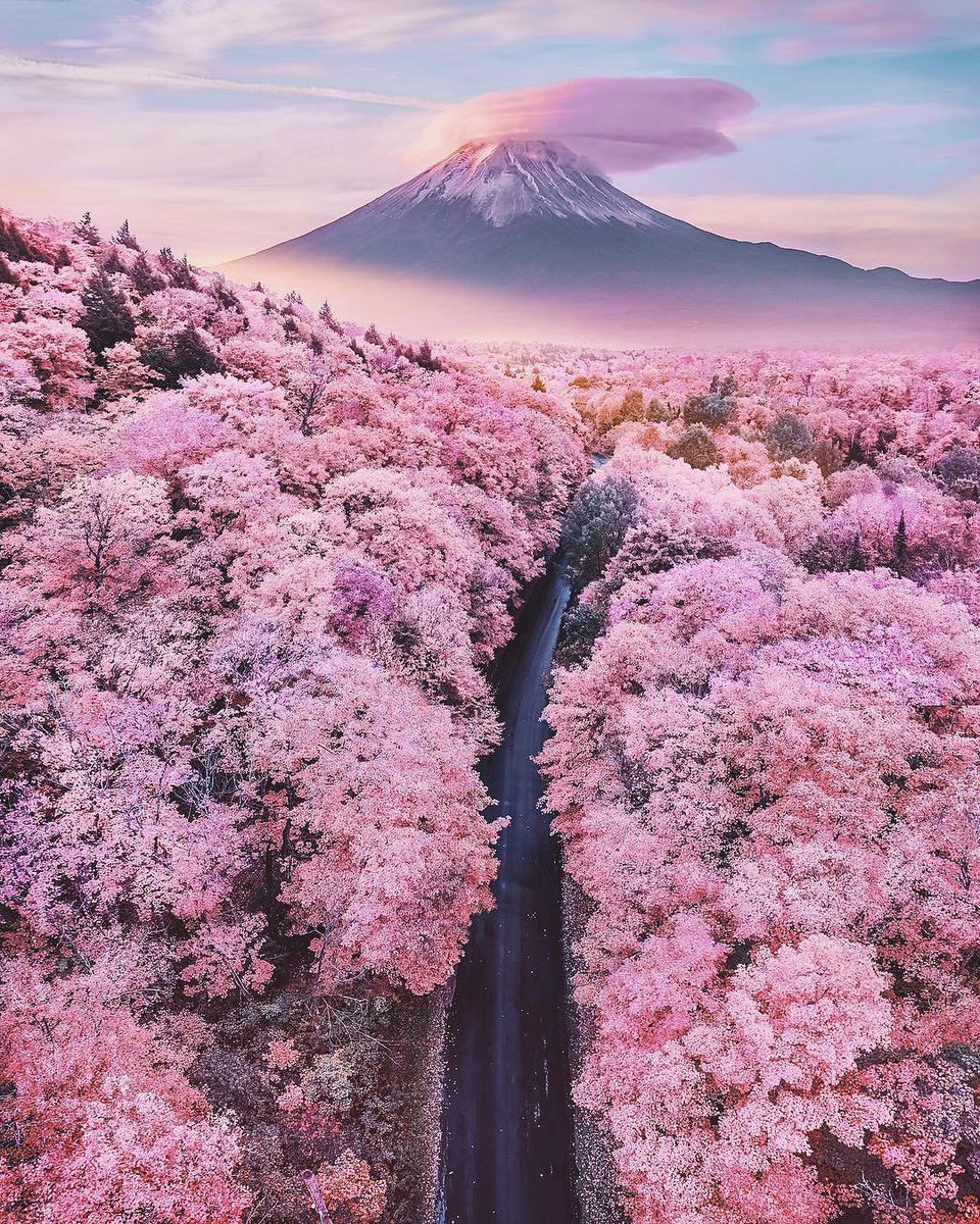 Mount Fuji, Japan.