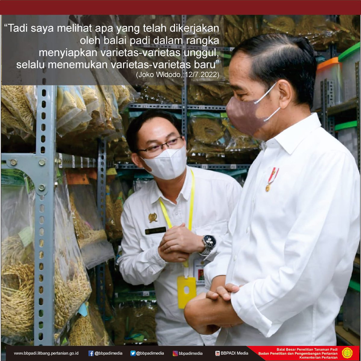 Balai Besar Penelitian Tanaman Padi tweet media