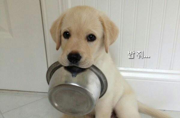 좀전에 구서동 예고 맞은편 골목에 흰티에 #노브라 #여자 지인이 없었으면 말걸어볼껀데 ㅜㅜ 아쉽네