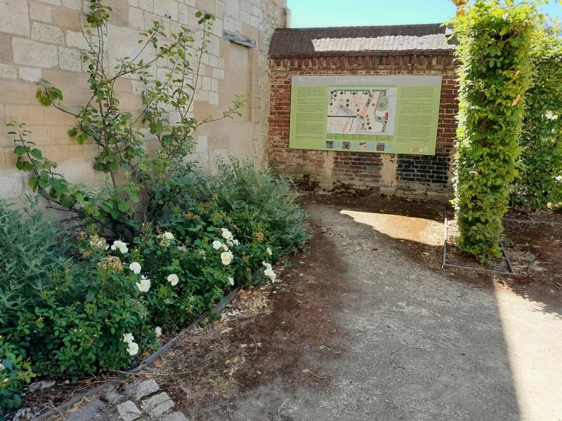 MUDOOise's tweet photo. #CultureWE
A l'ombre des pierres du palais épiscopal, le week-end sera rafraîchissant dans le jardin paysager de l'évêque au MUDO-Musée de l'Oise.
#ideedesortie #museesdeshautsdefrance #Beauvais #oiseledepartement #belleoise #enfamille #sortirdansloise #nature #summer #garden https://t.co/CORQ5hTj8p