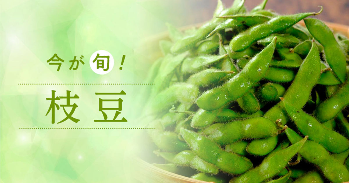 希少 クマザサ 刻 500g栃本天海堂 くまざさ 隈笹 Www Tsujide Co Jp