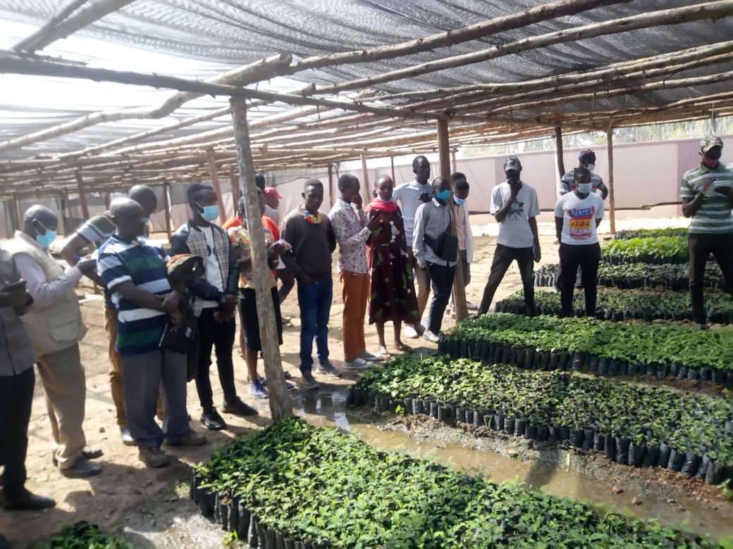 MoESWorldBankUG's tweet photo. *#TVETreformsug. Short Course Trainees-Coffee Farmer Level 1 from Rwentanga Farm Institute,  benchmarking prominent coffee farms in Bushenyi and Sheema Districts. Do you want to gain skills in coffee farming within days?. You know where to go.@mulihiB @TVETuganda @Worldskills_ug https://t.co/xt7xJQVTyb