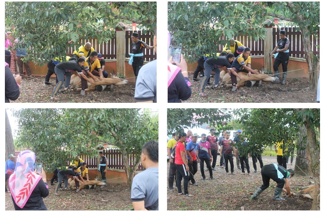 JKR Kemaman tweet media