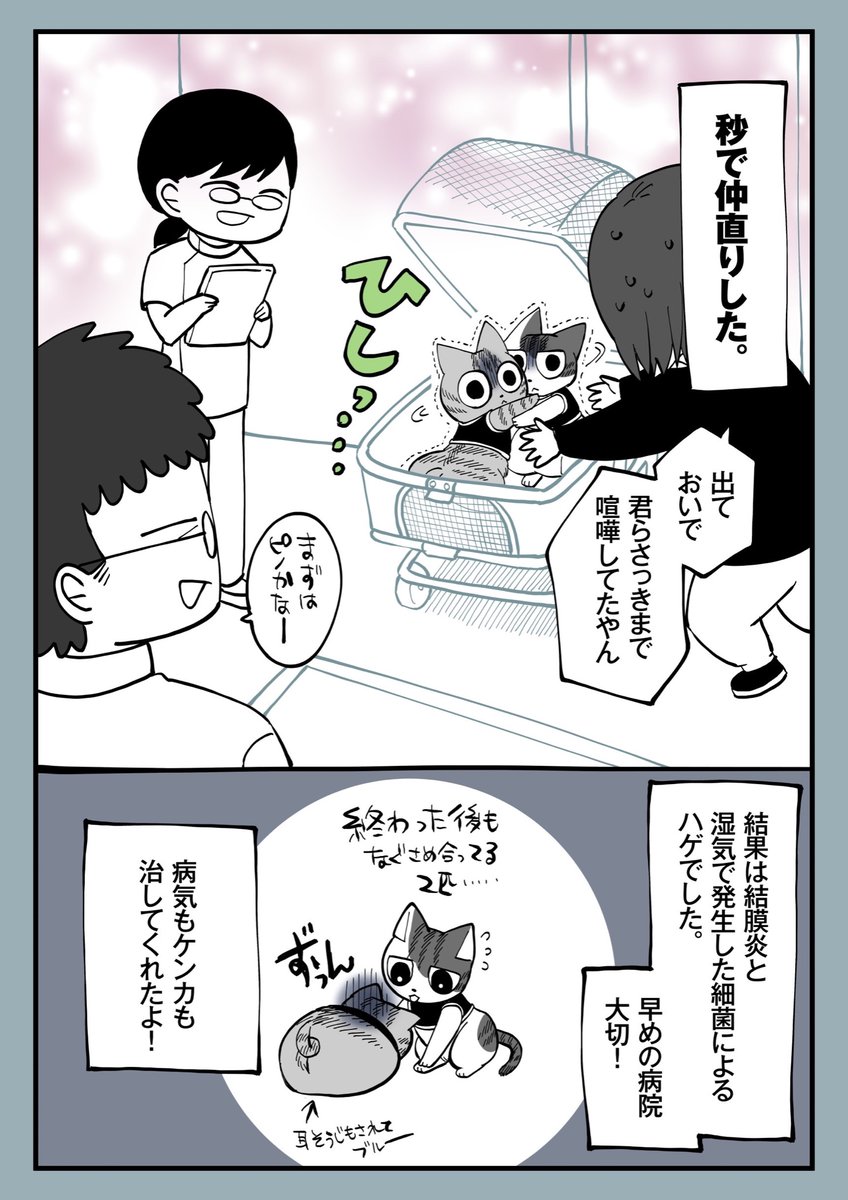 19.ケンカ 
