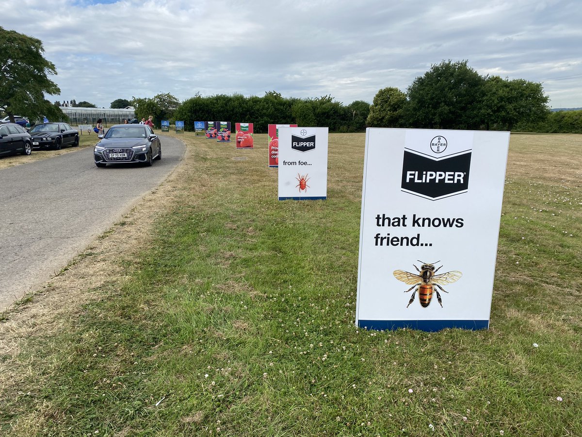 A fine FLiPPER welcome to @FruitFocus from @Bayer4CropsUK and @Alphabiocontrol Plenty of conversations ahead today #fruit #biocontrol