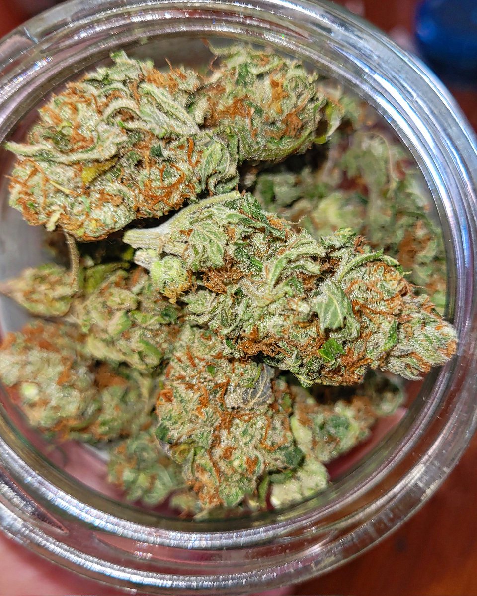 Sophie_MJ's tweet photo. Mi Medicina es natural y vegetal.
Yo trato mis males con cannabis y otras plantas medicinales ancestrales.
.
Hace que no me tomo un ibuprofeno siglos...
.
Libera tu organismo de químicos , la Medicina está en la naturaleza 💚🌱🍄☀️
.
#LaSofiJardinera 👩🏼🌾🧿 https://t.co/I87enakLXq