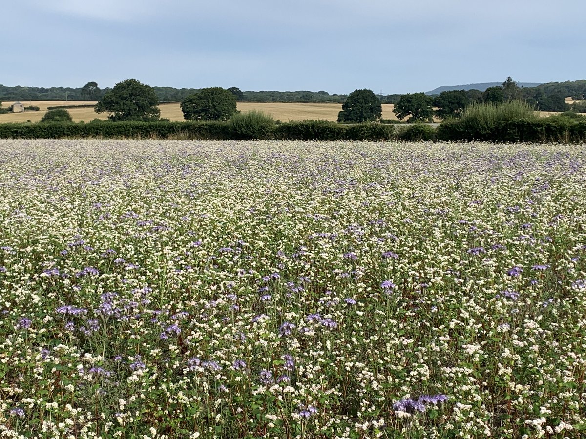 Omacast Ltd tweet media