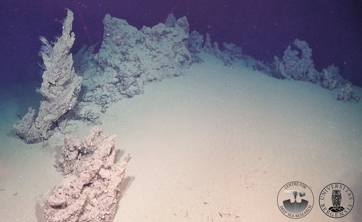Eco-Safe Ridge Mining Project (@ecosaferidge) on Twitter photo We have been enjoying some of the beautiful seascapes on Ægir vent field over the last couple of days.
#ROVÆgir
#CDeepSeaCruise
@CDeepSea
@VentSeepFauna
<a href="/DeepSea_Stokke/">Runar Stokke</a>
<a href="/DeepSeaEoghaney/">Dr. Eoghan P. Reeves</a> We have been enjoying some of the beautiful seascapes on Ægir vent field over the last couple of days.
#ROVÆgir
#CDeepSeaCruise
@CDeepSea
@VentSeepFauna
<a href="/DeepSea_Stokke/">Runar Stokke</a>
<a href="/DeepSeaEoghaney/">Dr. Eoghan P. Reeves</a>