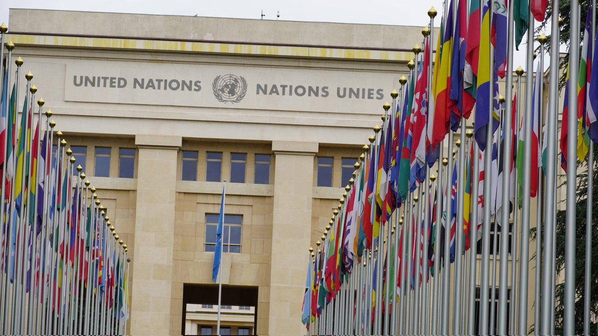 Shepherd Mutswiri tweet media