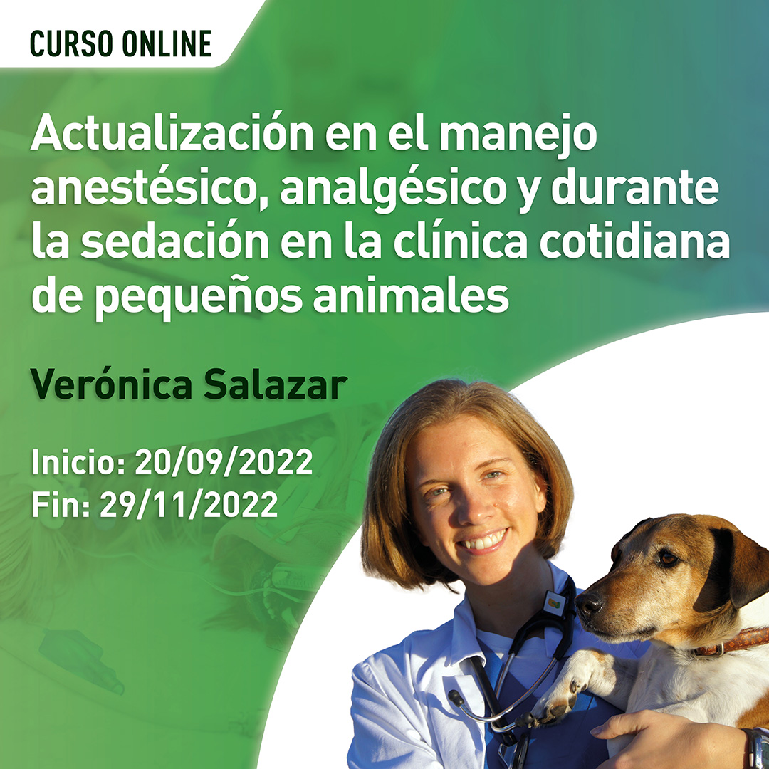 AsisFormacion's tweet photo. ¿Sabías que el curso Actualización en el manejo anestésico, analgésico y durante la sedación en la clínica cotidiana de pequeños animales tiene un descuento de 100 € hasta el domingo 17 de julio? No dejes escapar esta oportunidad e inscríbete ya: https://t.co/vLnXFSWYQu https://t.co/LR54RKWFVN