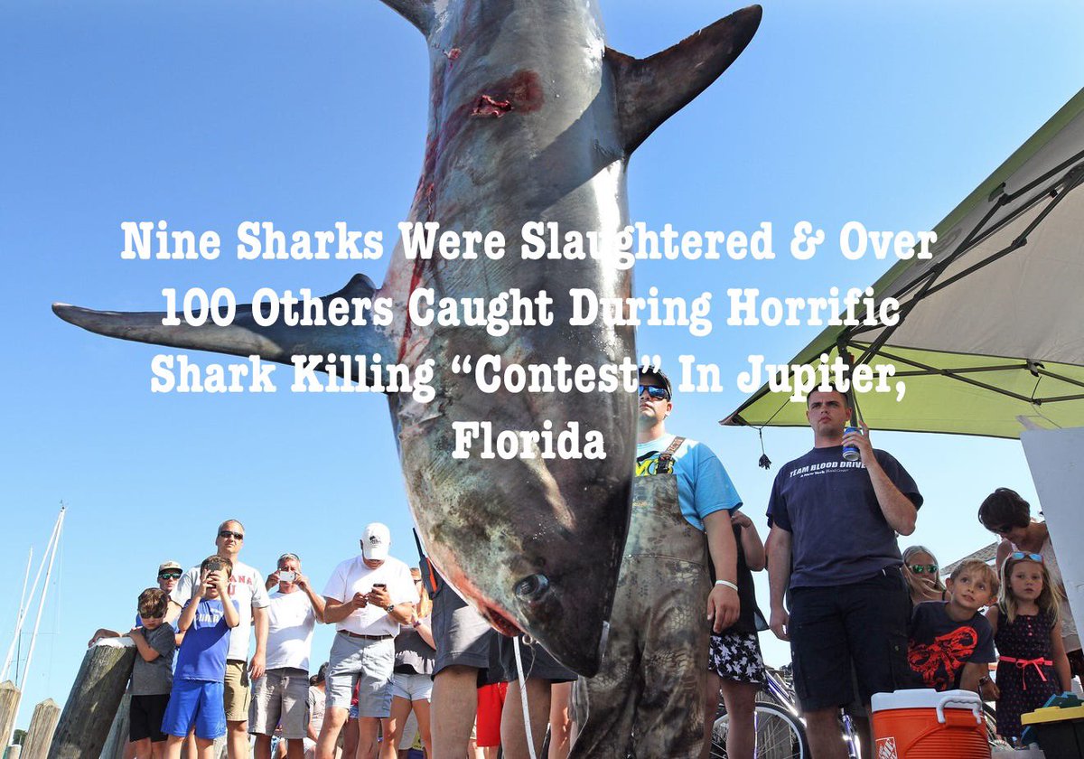 Xpose Trophy Hunting on Twitter "RT TrophyXpose Reportedly, 54 boats