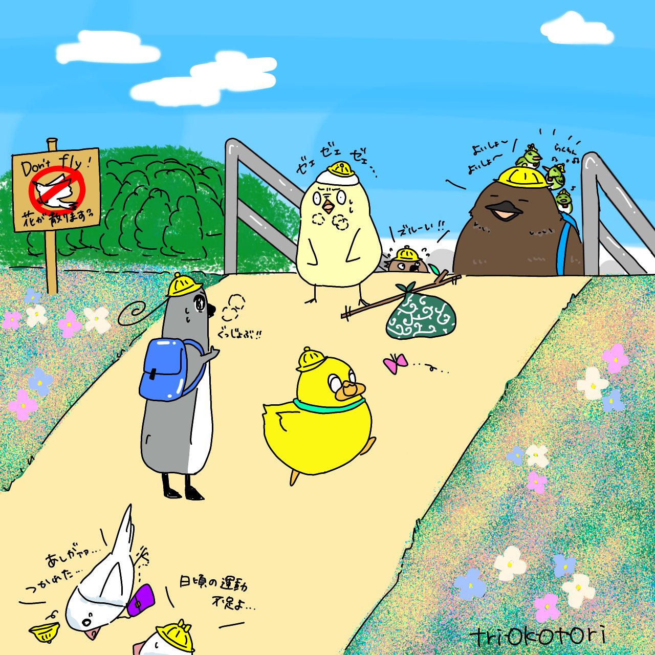 さんびきのことり Triokotori Twitter