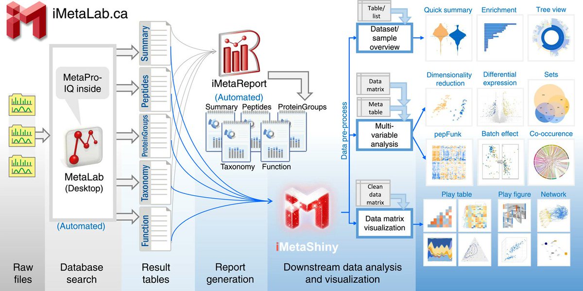 iMetaLab includes (1) MetaLab Desktop, facilities proteins identification and quantitation from microbiomes; (2) iMetaReport, access database search results and data set profiles; and (3) iMetaShiny, cover functional, taxonomic, and statistical analysis. onlinelibrary.wiley.com/doi/10.1002/im…