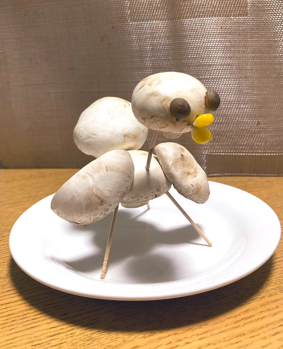 今年のお盆はこれに乗って帰ってきてもらおう！ジャンボマッシュルームで作ったアヒルちゃん。