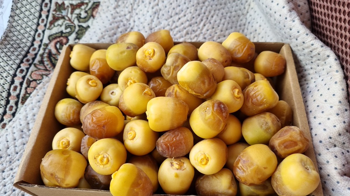 احد فوائد التسميد العضوي الانتاج والاثمار المبكر على أقل تقدير بالنسبة للمزارع التي حولك 
مثلا العجوة لها شهر ونا اخذ منها
السكري لي ٢٠ يوم اخذ منه
وكل سنه يكون أفضل من السنه التي قبلها
استخدمت التالي
تسميد بقري وماعز معالج
تسميد فيرمي كمبوست 
تسميدب البوكاشي
مخصبات بكتيري وفطري