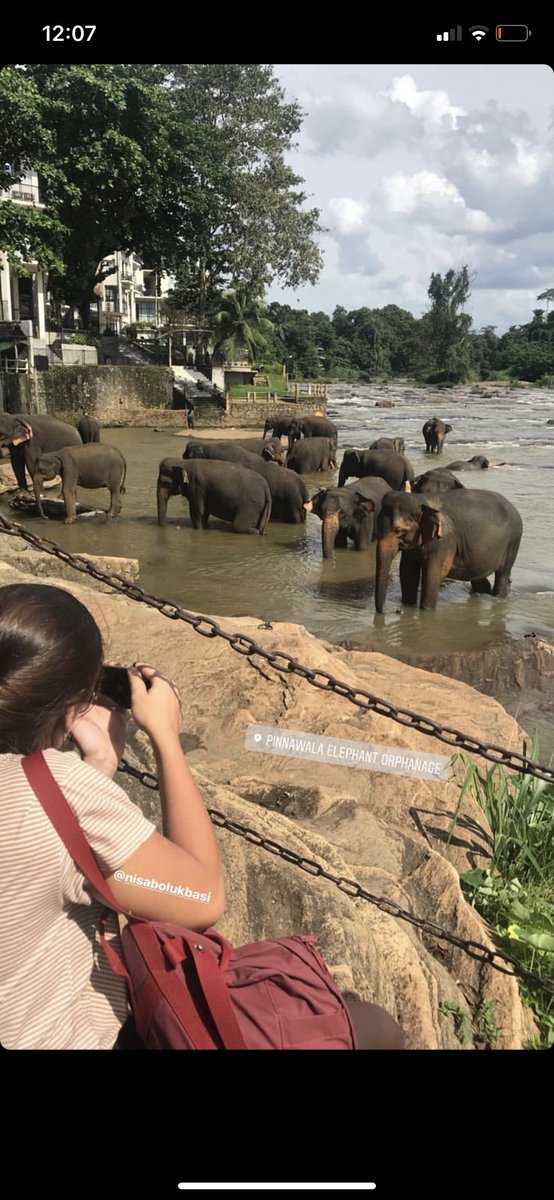 nisa daha çok gez bizle de paylaş askım gezdiğin yerleri burası sri lanka
KupanınAdı NisaBölükbaşı