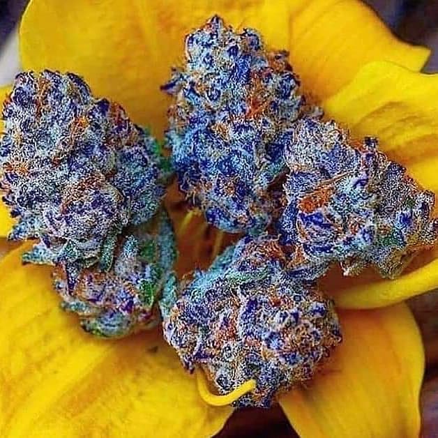 🔥 BULL RUN WONKA 🔥 XRP tweet media