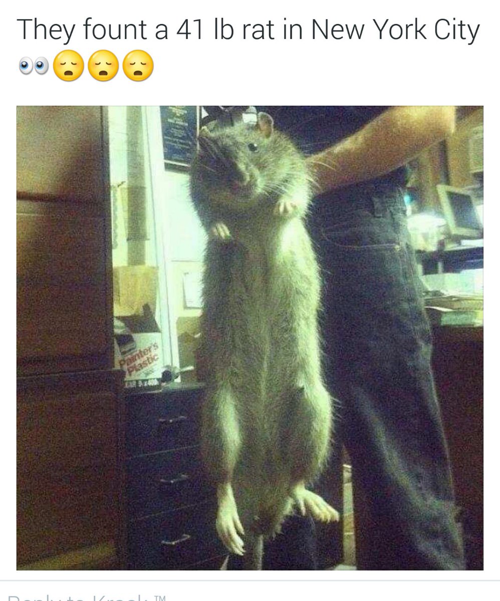 me pre ff7, post crisis core