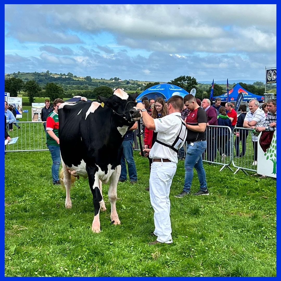 A few snaps from the Senior and U23 Dairy Stock Judging Final last Thursday 📸

#MacranaFeirme #Macra #dairystockjudging #Ornua