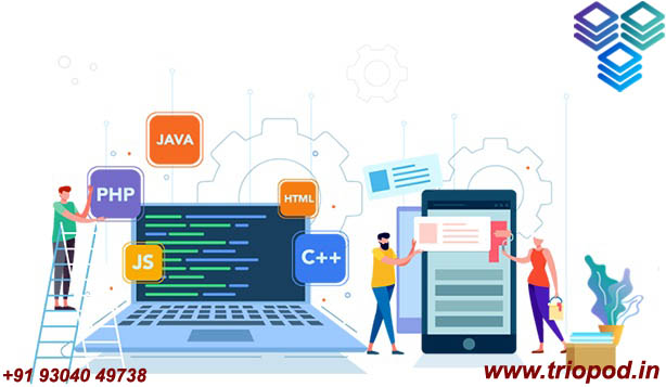 triopodindia's tweet photo. Triopod India is the top web designing company , and its vision and mission of website design services are to increase your conversions. We customize designs to meet your requirements. Our plans go beyond being unique and innovative, https://t.co/xwYGpbFAoL