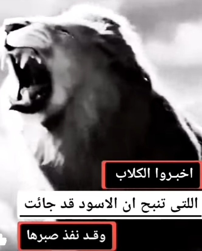 #صلاة_الجمعة