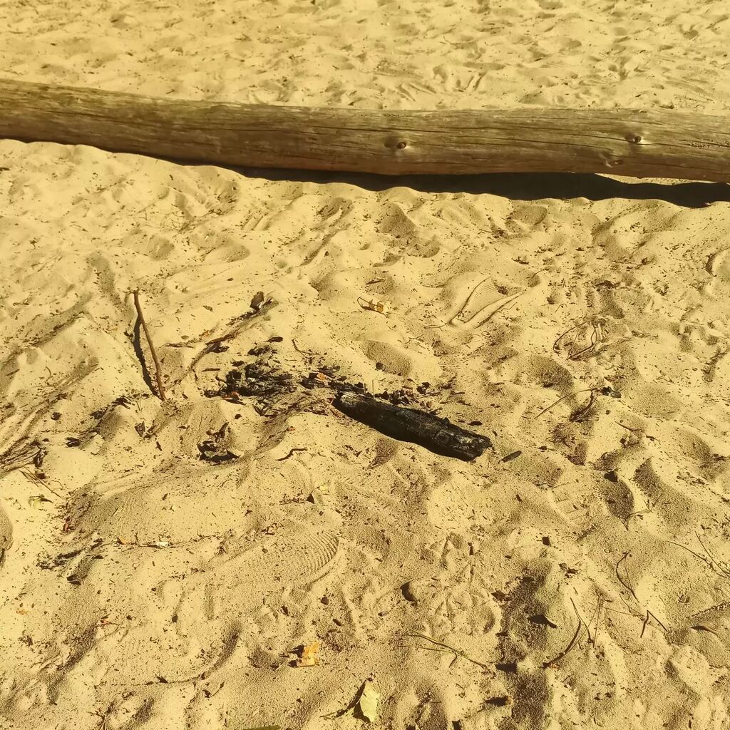 YakOcean's tweet photo. Trace de feux sur la plage en arrivant  à 5m de la forêt 😠
C'est pas comme si ça brûlait de partout depuis hier !
Inconscience et incivilité encore ...

#sanguinet #landes #feuxdeforets #biscagrandslacs https://t.co/07w1hfC8nn