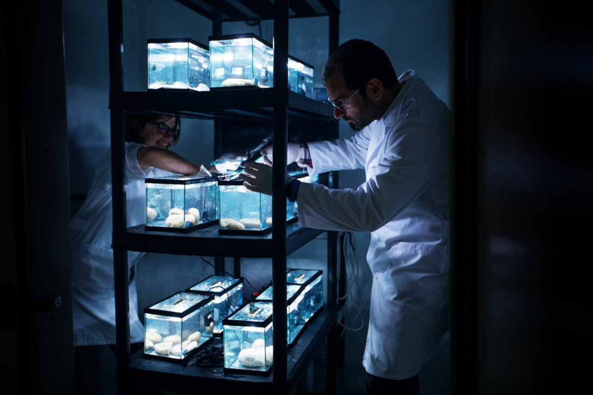 📢 El projecte <a href="/life_demine/">Life DEMINE</a>, liderat pel <a href="/BETA_TechCenter/">BETA Tech Center</a>, ofereix noves solucions tecnològiques per mitigar el greu impacte ambiental de les mines abandonades
👉 bit.ly/3RyWQlJ

<a href="/UDivulga/">UDivulga</a> <a href="/UVic_FCTE/">Fac. Ciències, Tecnologia i Enginyeries UVic-UCC</a> <a href="/accioclimatica/">Assemblea d'acció climàtica</a>