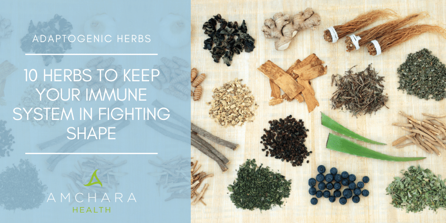 10 herbs to keep your immune system in fighting shape amchara.com/health-wellnes…