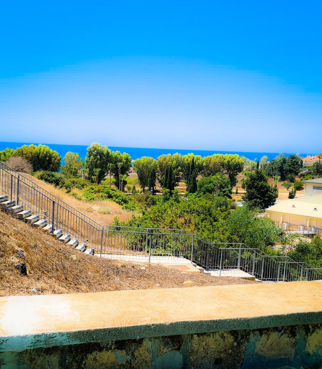 Craig Johnson (RNLD, SCPHN, QN)💙 tweet media