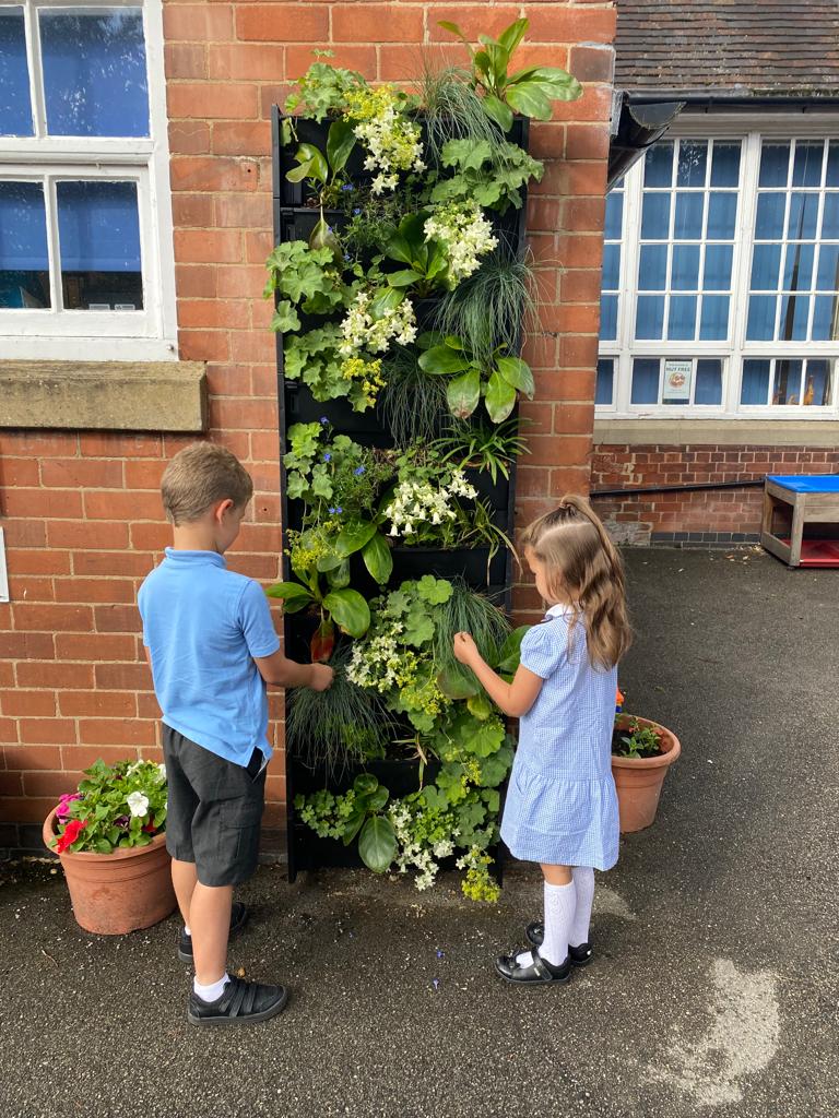 Hedera Screens Ltd (@hederascreens) on Twitter photo The children, parents and staff love the new edition of their <a href="/GrowingRev/">Growing Revolution</a> PlantBox living wall installation. Start your #greenmyschool journey by contacting our friendly team or install one yourself š hederascreens.co.uk/online-shop/Gr⦠#CleanAirForAll #netzero #GreenRecovery #fighttobreath The children, parents and staff love the new edition of their <a href="/GrowingRev/">Growing Revolution</a> PlantBox living wall installation. Start your #greenmyschool journey by contacting our friendly team or install one yourself š hederascreens.co.uk/online-shop/Gr⦠#CleanAirForAll #netzero #GreenRecovery #fighttobreath
