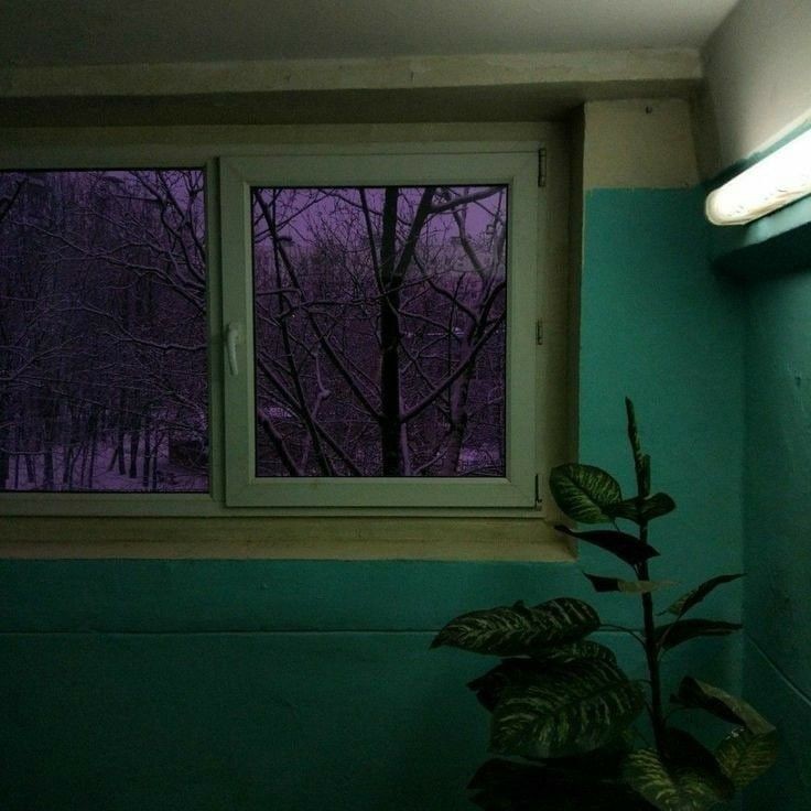 Эстетика окон