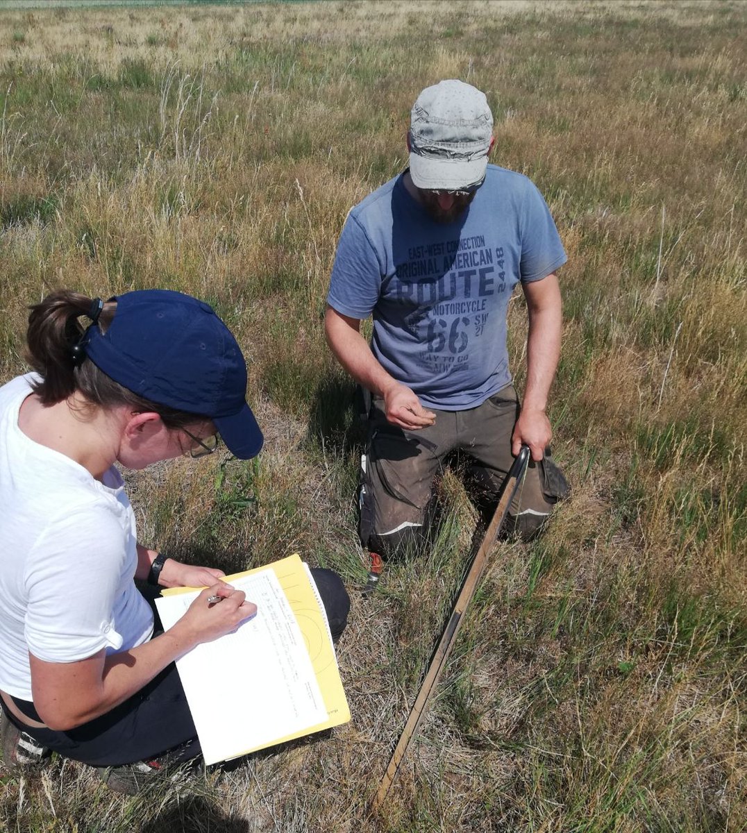 Computational Landscape Ecology tweet media