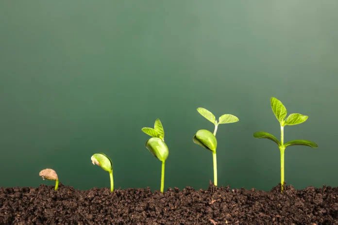 Savesoilitaly's tweet photo. Our little gesture is worth more than anything #savesoil

Un nostro piccolo gesto vale più di tutto #ConsciousPlanet https://t.co/YCjFO3PyAR