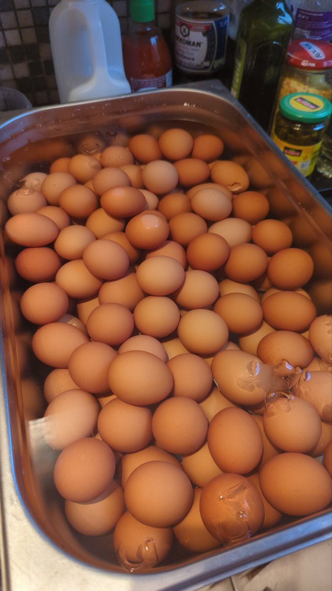 This is a start for 150 scotch eggs 🫣

#dirtycrunch #scotcheggs #events #prep #catering #rolling