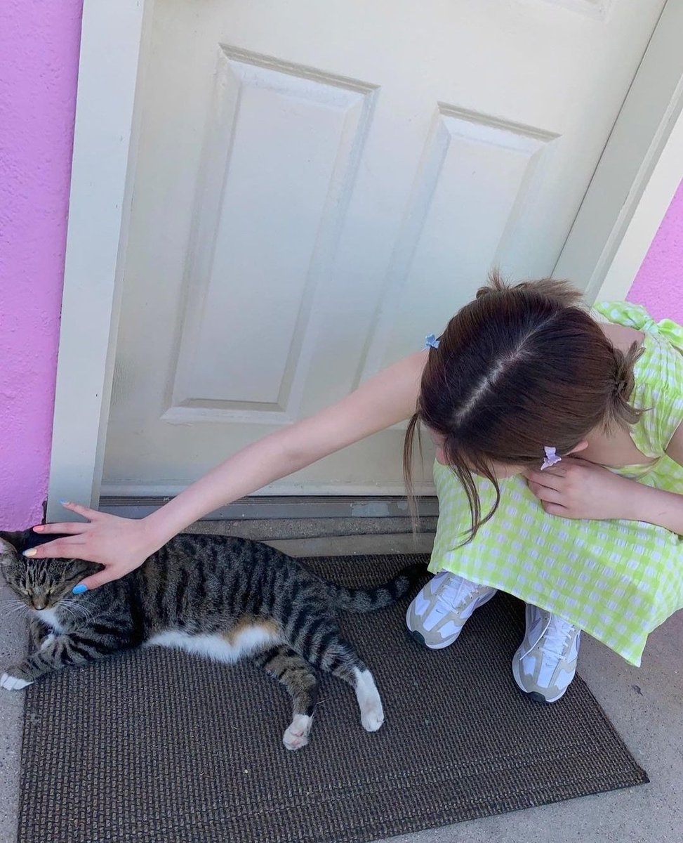 with cats 🐱

#VIVIZ #SINB #NMIXX #BAE