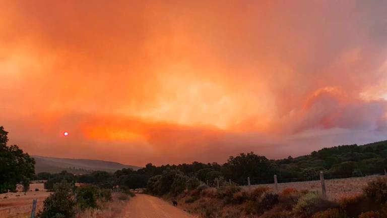 CarlosJSalgado's tweet photo. Que mientras en #Salamanca sufrimos una grave ola de incendios (con los vecinos de Monsagro fuera de sus casas), Mañueco y varios consejeros anden de vinos en Valladolid, es indignante.

Tiene uno la sensación de que a la Junta de CyL no le importamos absolutamente nada. https://t.co/66bWKDhMLe