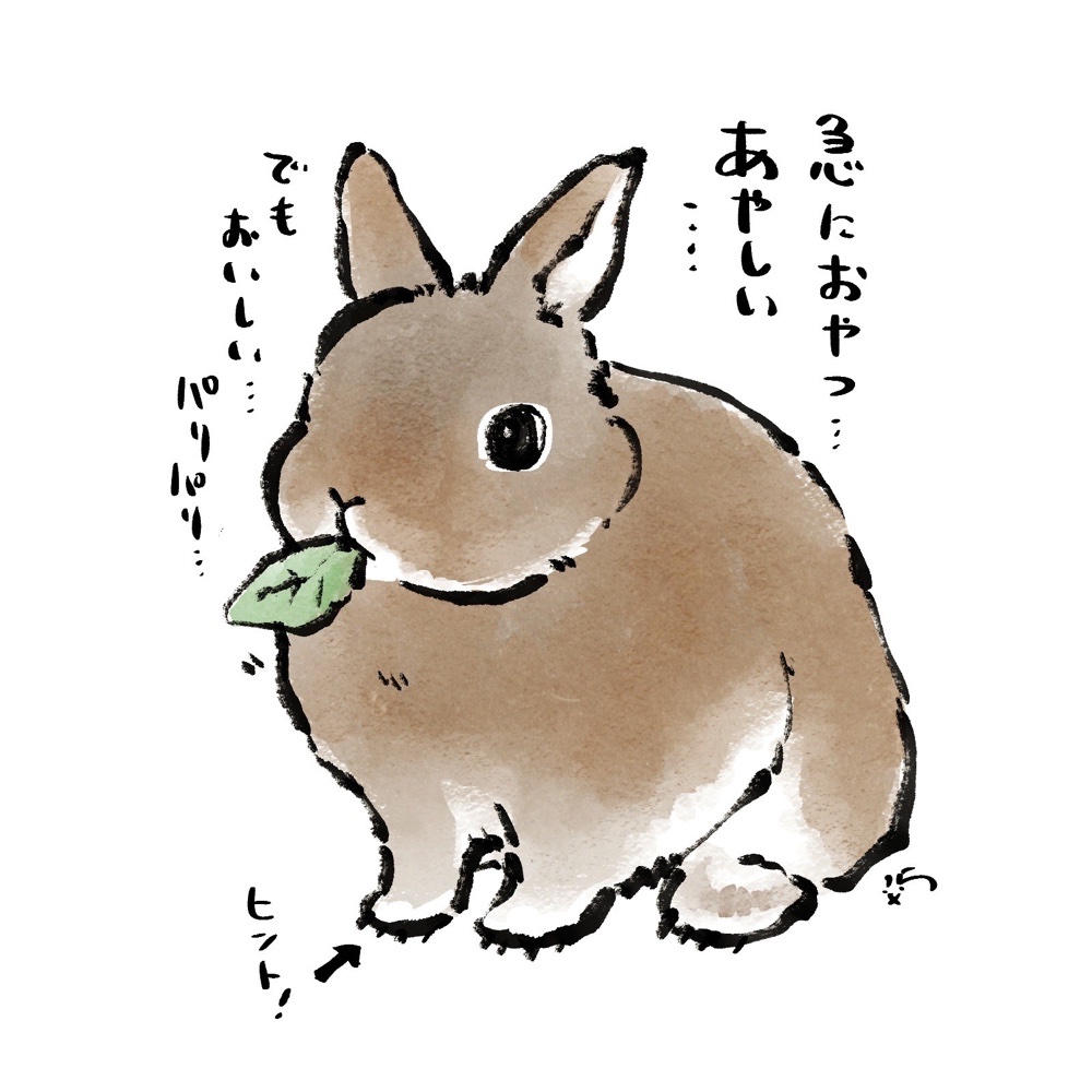 🐰うさぎの勘🏥 