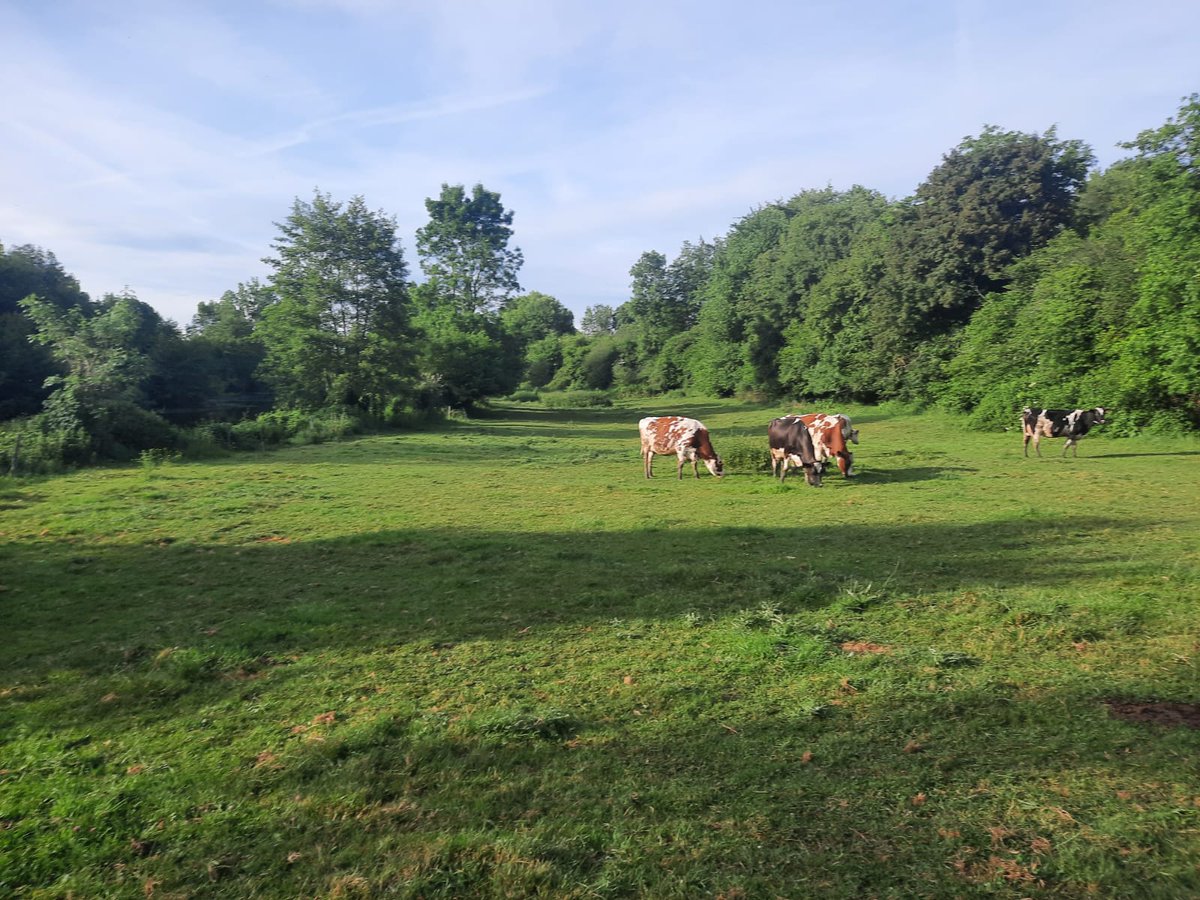 [⏱M- 3] #randonnegourmande #JusteEtVendeen 

On vous attend le dimanche 1️⃣6️⃣ octobre au Gaec La Brosse (La Guyonnière - Montaigu) à partir de 10h pour une marche rythmée de bons produits vendéens 😁❤

Informations et inscription ▶️ marque-juste.fr/juste-et-vende…
