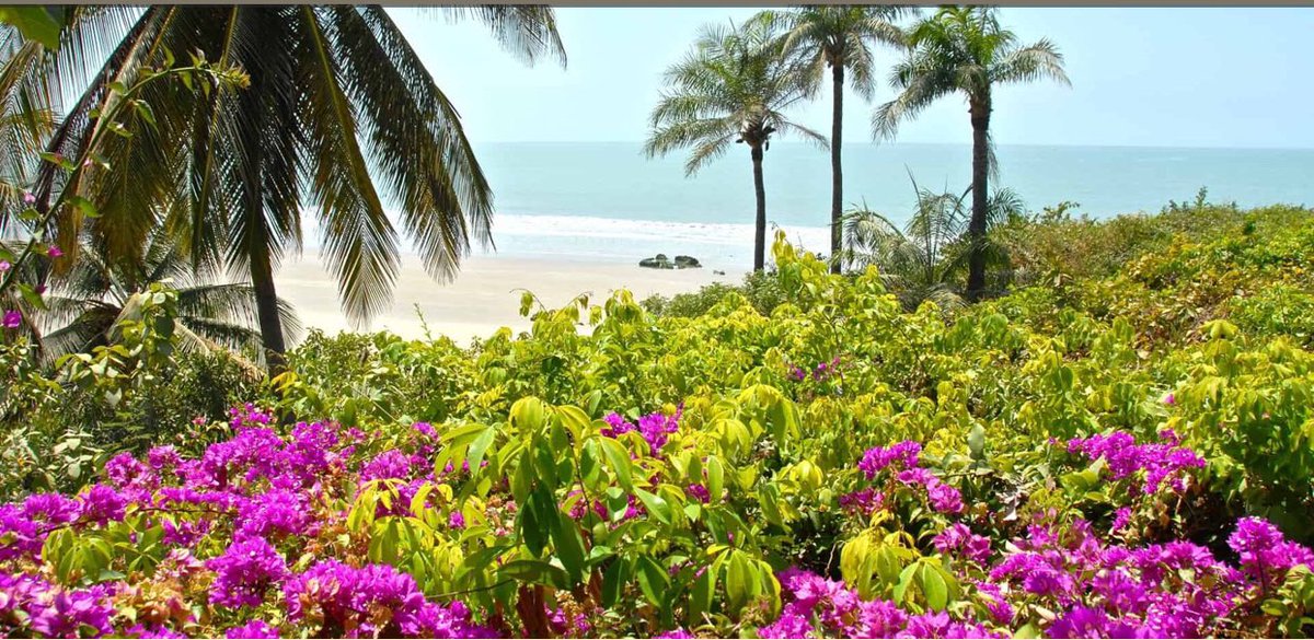 Gambia the smiling coast of west Africa
