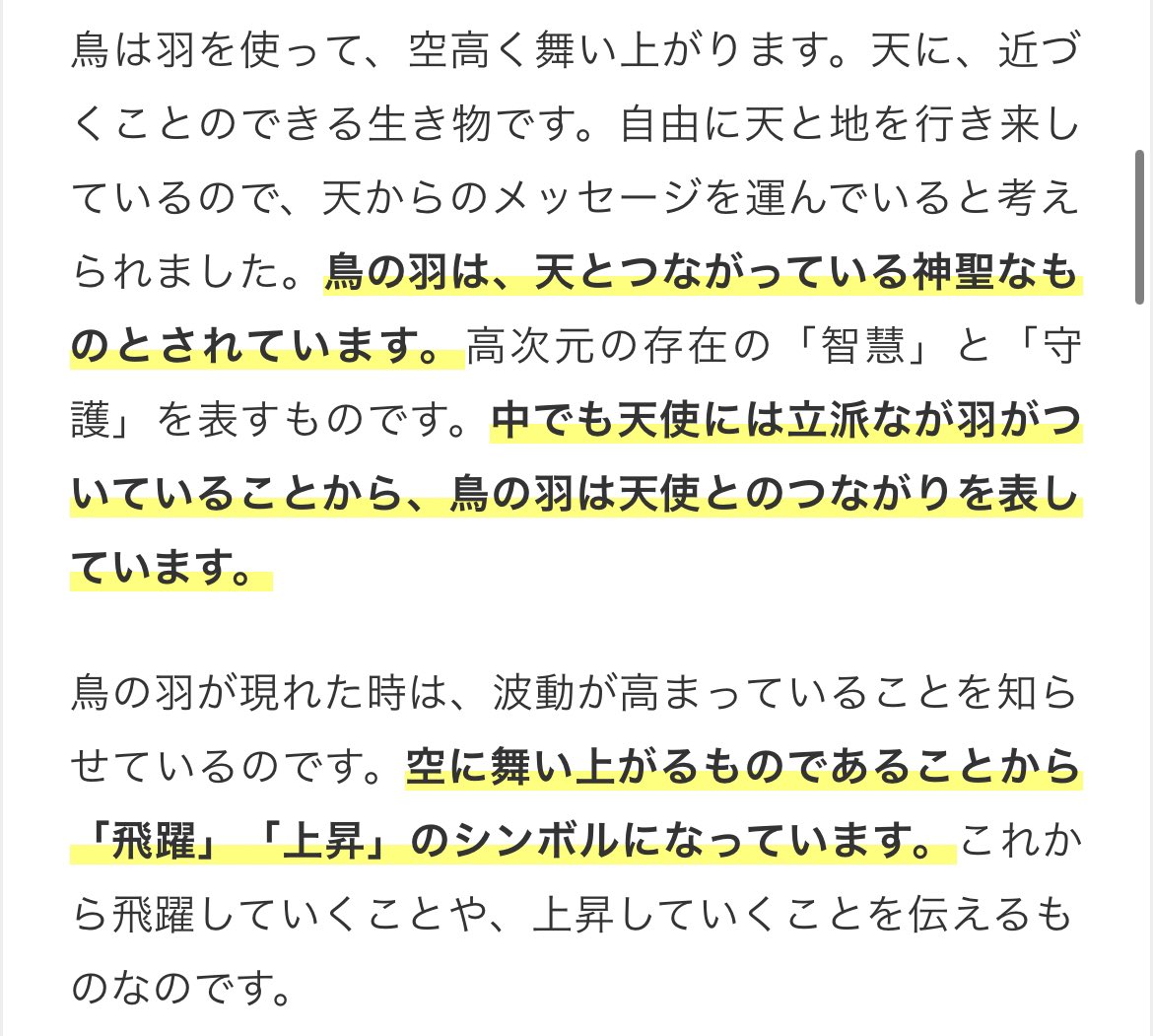 Run そういえば 仕事帰りに鳥の羽 スピリチュアル 鳥の羽 飛躍 上昇 T Co Exhzxcuqyx Twitter