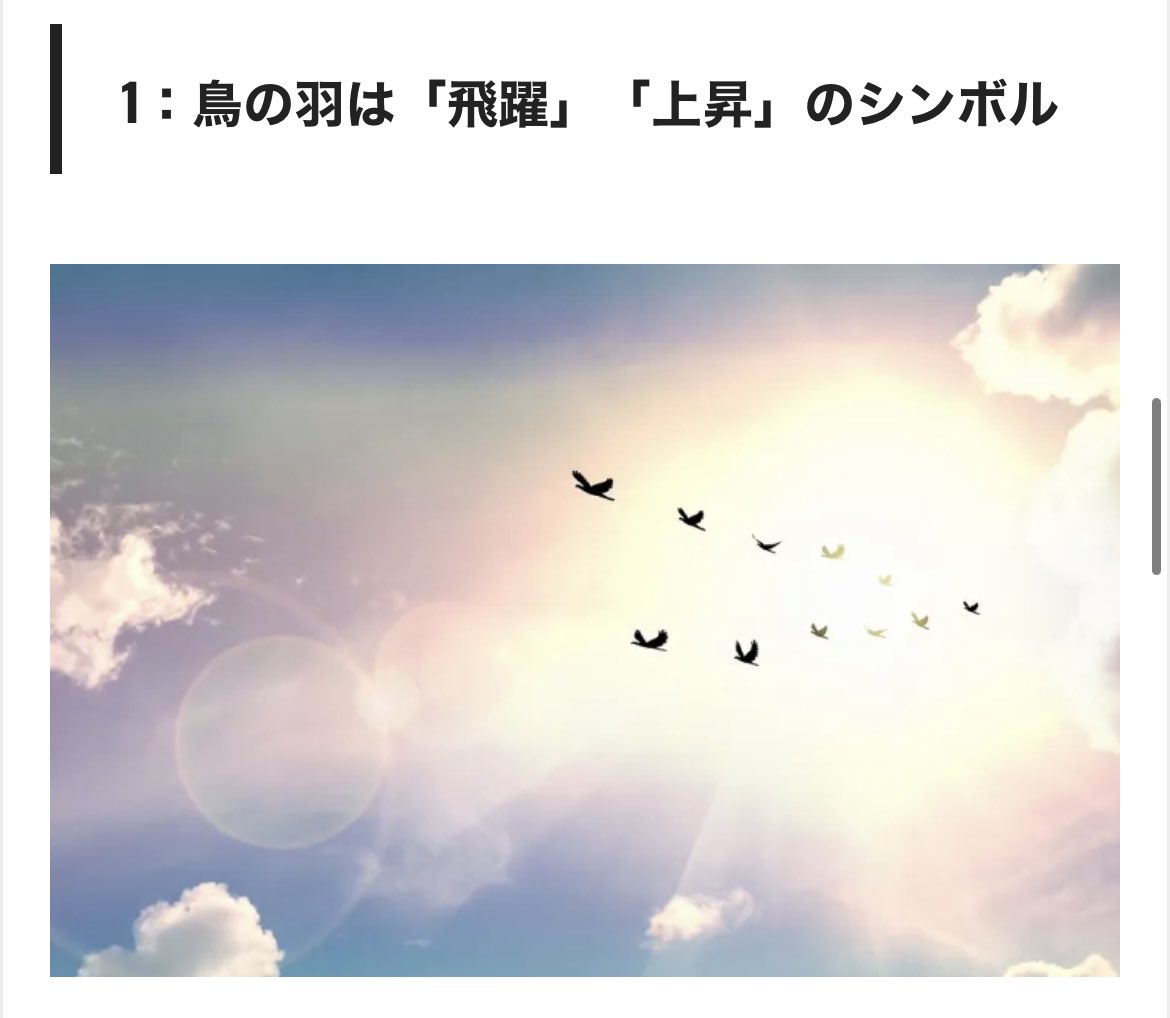 Run そういえば 仕事帰りに鳥の羽 スピリチュアル 鳥の羽 飛躍 上昇 T Co Exhzxcuqyx Twitter