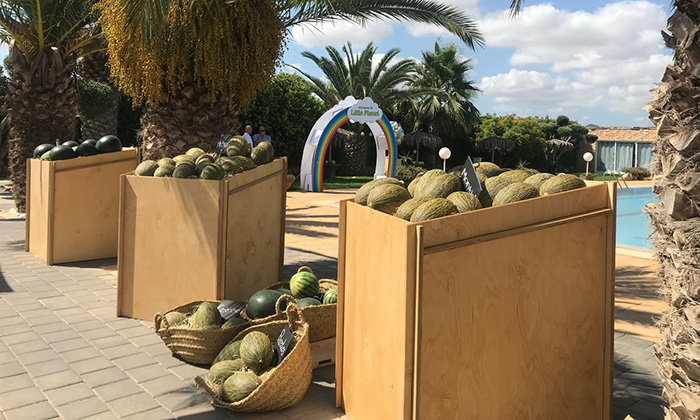 Portagrano's tweet photo. 🔝🔝🔝FitoWeek en el campo de Cartagena: #melón Little Planet, cantaloup Marme y sello Flavourite en piel de sapo Arroyo y Montiel
https://t.co/S88jOdabV2
#FitoWeek #Flavourite #LittlePlanet #regiondeMurcia
🍈😋🍈😋🍈😋 https://t.co/9B8BWJbnCA