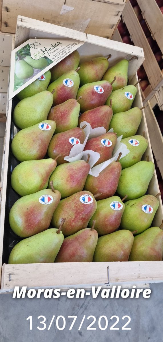 JorisM26's tweet photo. Il faut bien commencer un jour!
#ceuxquifontlesfruits #fruits #poires #MorasenValloire #Drôme @Interfel @La_drome @ladrometourisme @jtamboise https://t.co/a5JFyajoOf