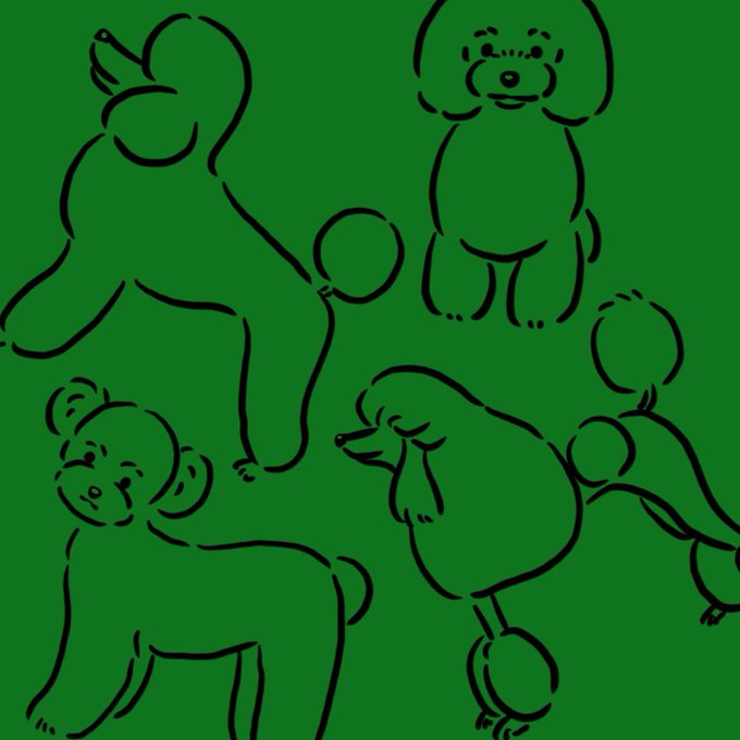 プードルのtwitterイラスト検索結果