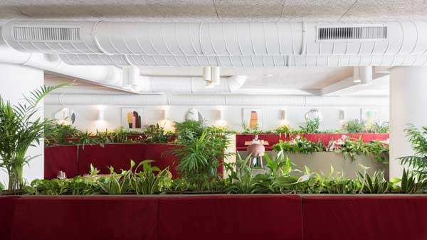 .<a href="/Ronda14_/">Ronda 14</a> , el #restaurante de cocina #nikkei de Mario Céspedes, llega a #Pozuelo

ow.ly/pLBA50JUGbb