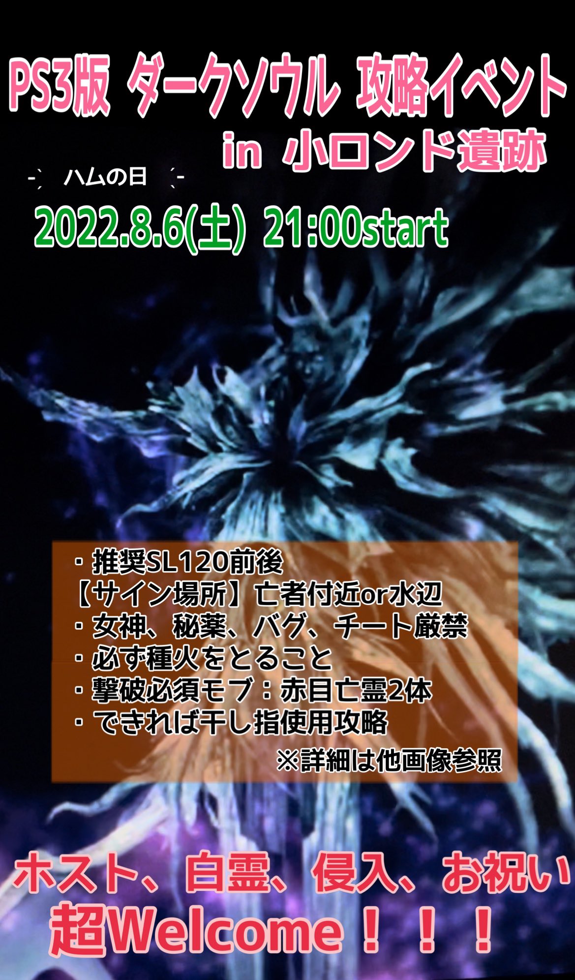 𝐦𝐢𝐡𝐢𝐫𝐨 ﾟ 8月6日 土 21時より Ps3版ダークソウルにて攻略イベントをします 8 6 8 ハ 6 ム ハムの日 つまり4人の公王の日 ﾟ ﾟ 場所やレベル帯 禁止事項 撃破必須モブなど詳細は画像に書いてあるので3枚ともチェックしてください
