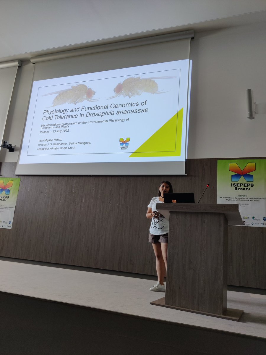Next is the lovely Vera Miyase Yilmaz <a href="/v_miyase/">Vera Miyase Yılmaz Bachmaier</a> on physiology and functional genomics of cold tolerance in Drosophila ananassae ! 

#ISEPEP9