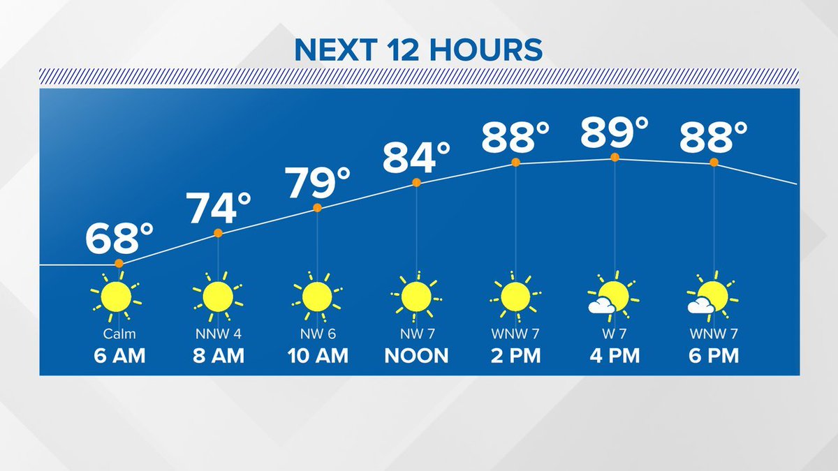 Matt Scott tweet media